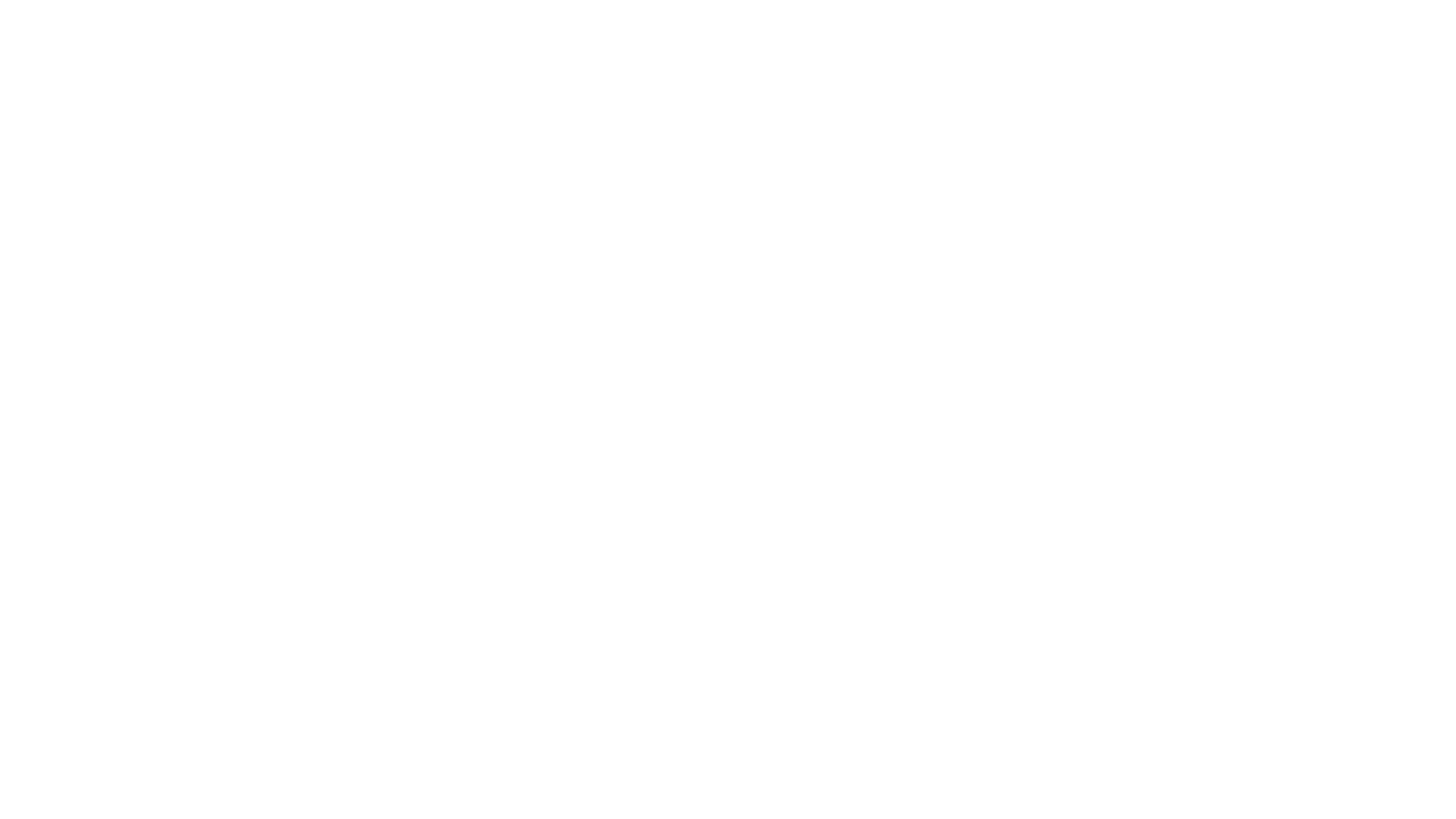 THE UNIVERSITY